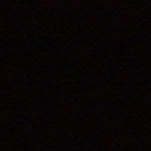 Meet your Posher, Will